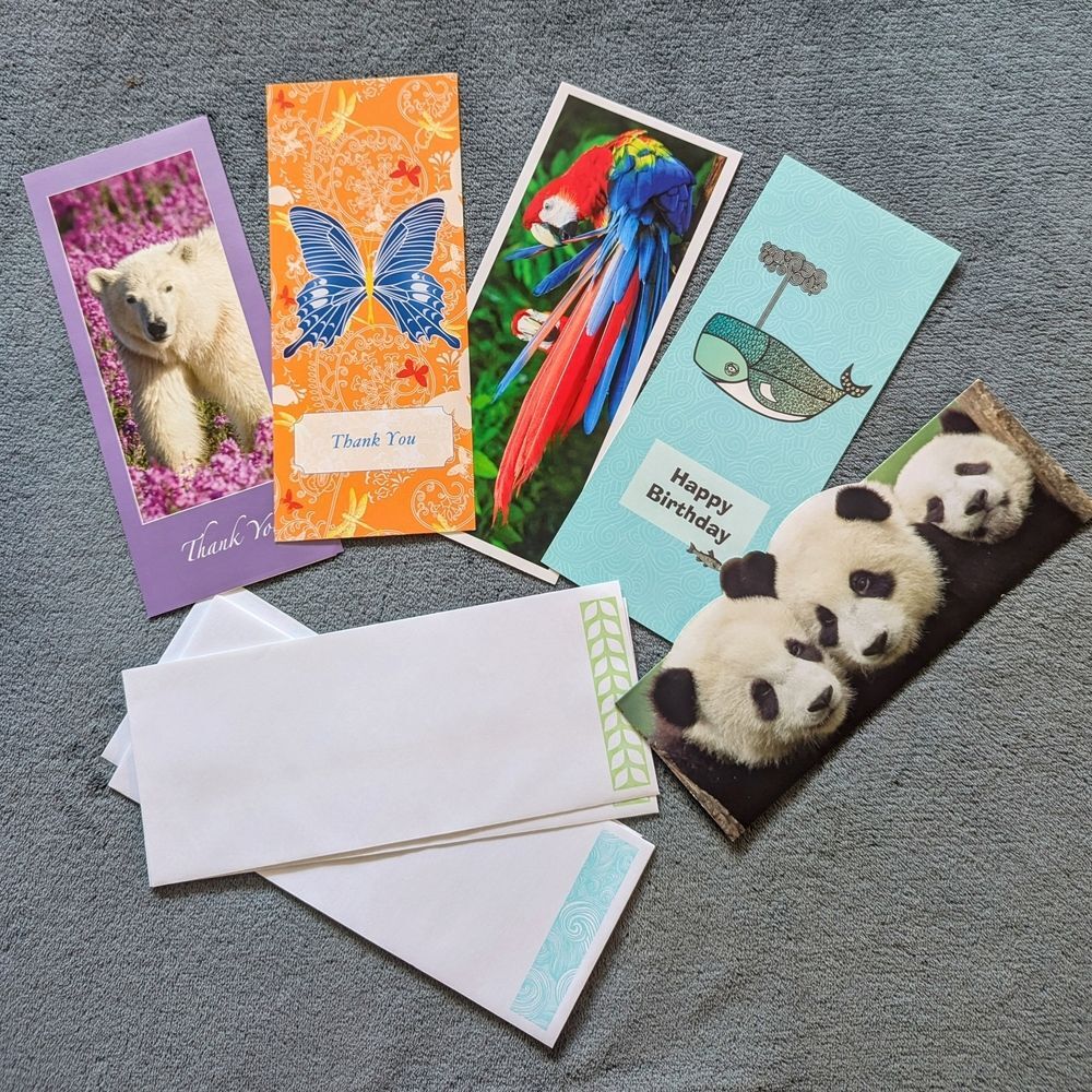 Colorful Animal Themed Greeting Cards - Set Of 5 plus Envelopes